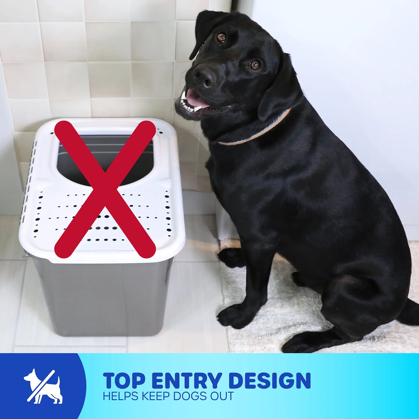 LocalID_69159 Petmate - Top Entry Litter Pan - 51x38x38CM (20x15x15in)