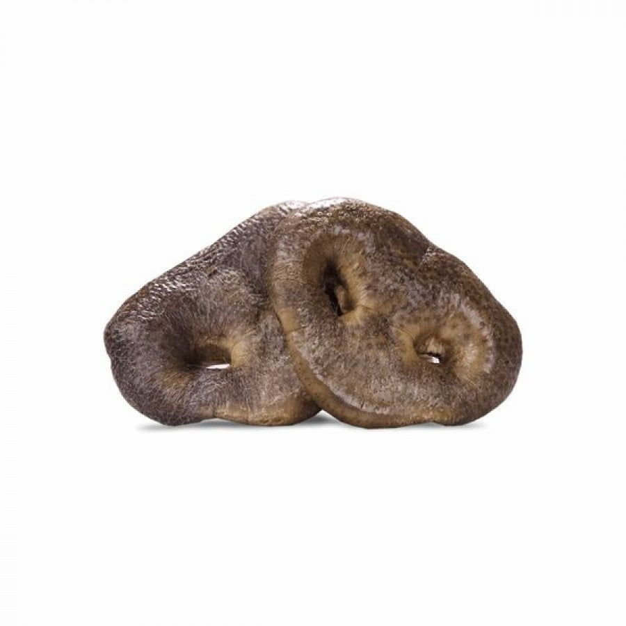 LocalID_64204 Vital Essentials - FD Raw PIG SNOUT Snacks Dog Chew