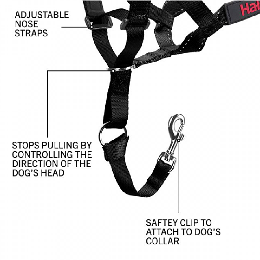 LocalID_66512 Company of Animals - Halti Nylon Head Collar - BLACK - Size 0