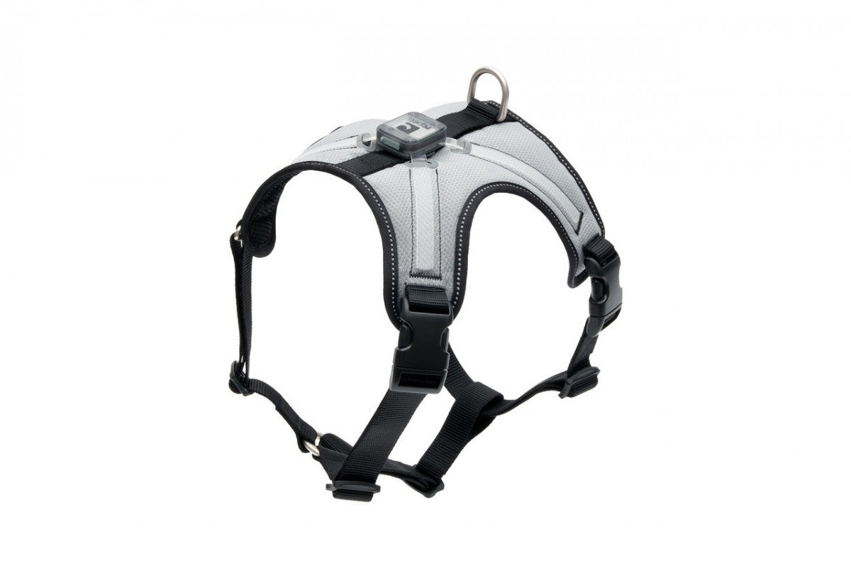 LocalID_64419 RC Pet - Nova LED Light Harness - BLACK - XLARGE - 76-101.5CM (30-40in)
