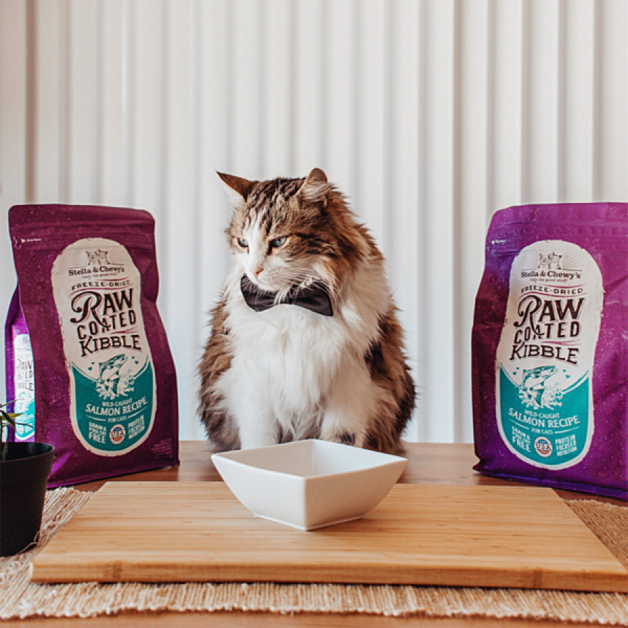 *S.O. - Up to 2 Week Wait* Stella and Chewys - Raw Coated Wild Caught SALMON Cat Food - (2.5lb)