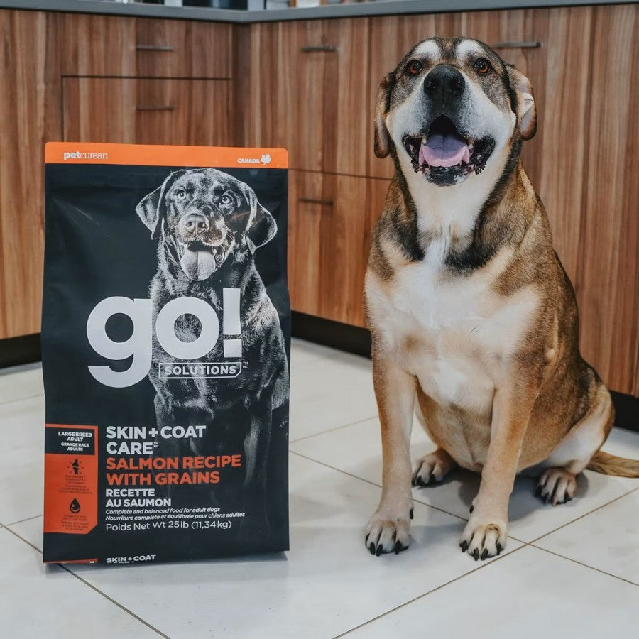 LocalID_67814 Petcurean - GO! Skin and Coat SALMON LARGE BREED ADULT Dry Dog Food - 11.34KG (25lb)