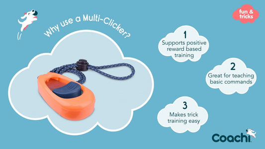 LocalID_70329 Company of Animals - Coachi - Multi-Clicker - CORAL & NAVY