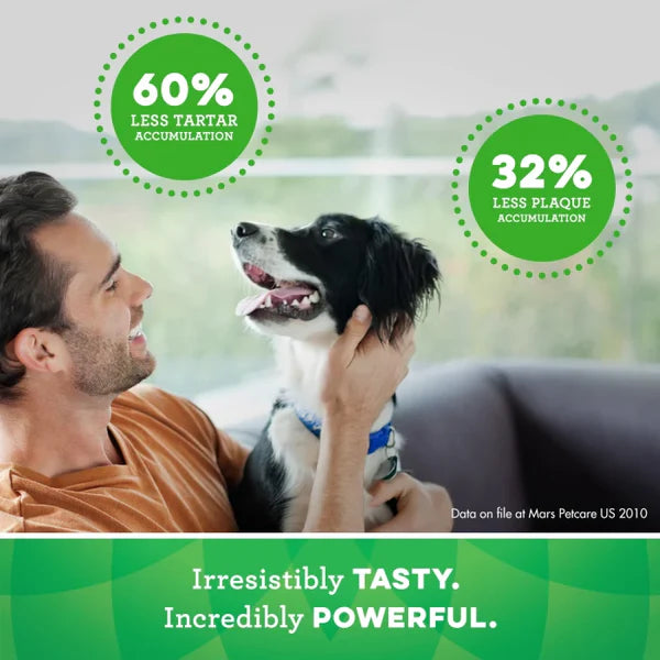 LocalID_68380 Greenies - Dental Chew ORIGINAL Dog Chew - TEENIE - 170GM (6oz) - 22CT