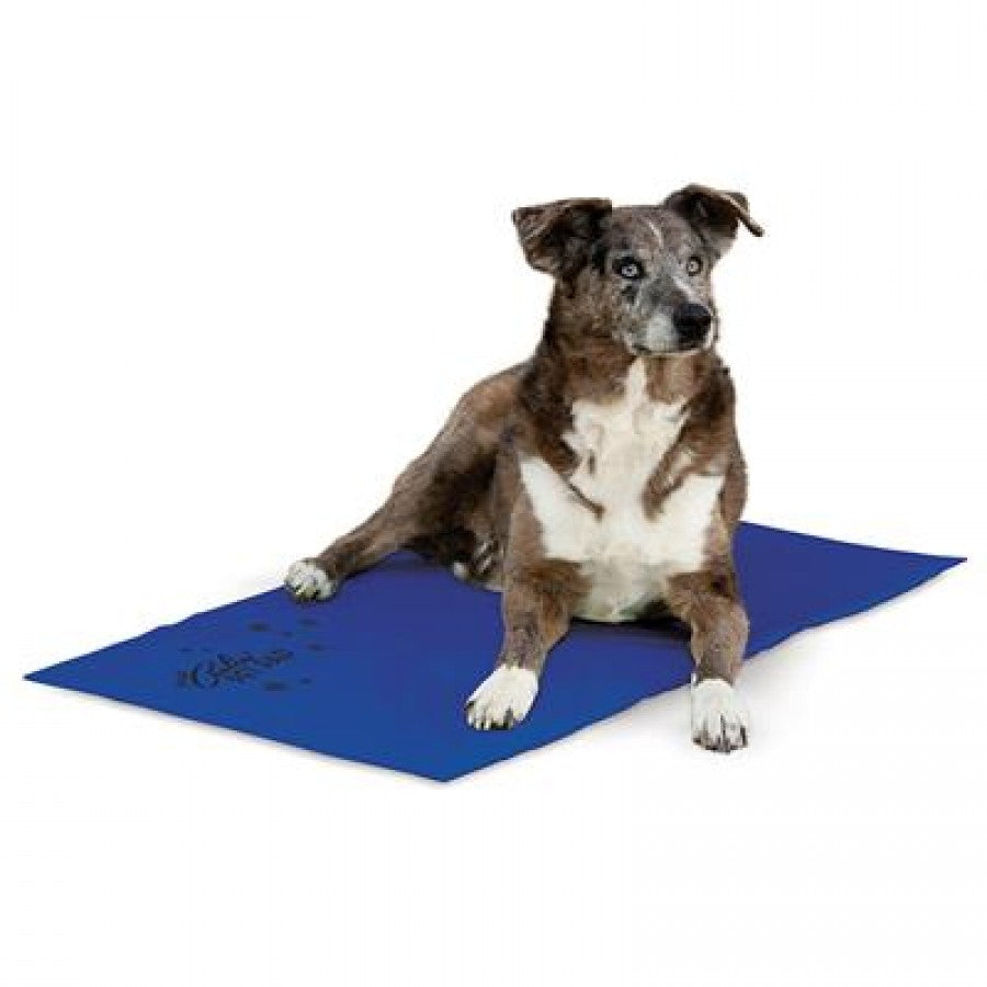 LocalID_30145 K and H - Coolin Pad - BLUE - XLARGE - 68.6 x 96.5CM (27x38in)
