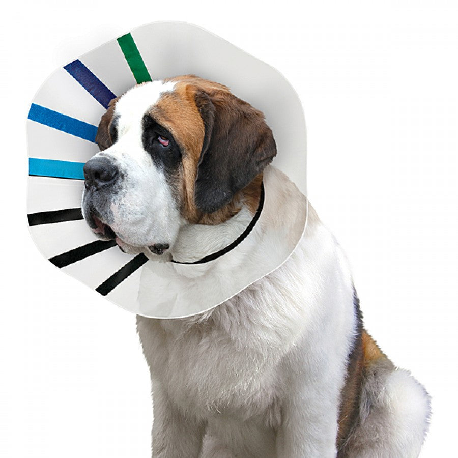 LocalID_70867 Kong - Ez-Clear Collar - MEDIUM - 19-25CM (7.5-10in)
