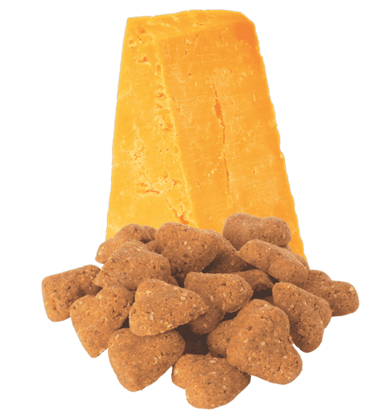 LocalID_68187 Darford - GF CHEDDAR CHEESE Recipe MINIS Dog Treat - 340GM (12oz)