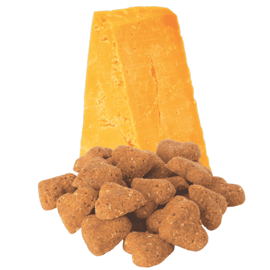 LocalID_68187 Darford - GF CHEDDAR CHEESE Recipe MINIS Dog Treat - 340GM (12oz)