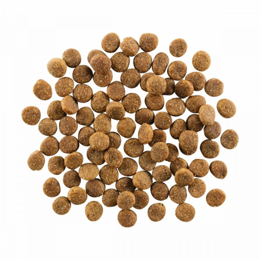 LocalID_67801 Petcurean - GO! Skin and Coat CHICKEN Dry Dog Food - 1.59KG (3.5lb)