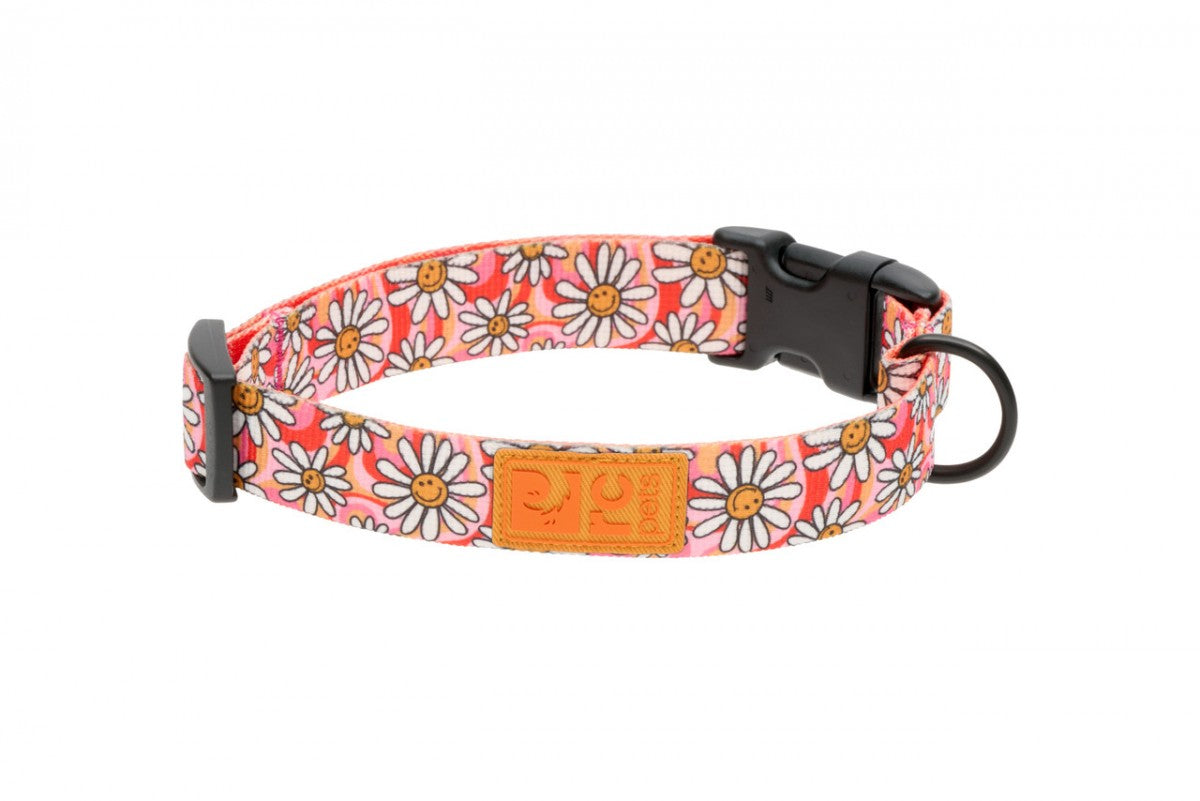 LocalID_70696 RC Pets - Eco Clip Collar - DAISY JOY - MEDIUM - 1 x 12-20in