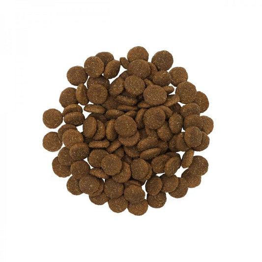 LocalID_67813 Petcurean - GO! Skin and Coat SALMON LARGE BREED ADULT Dry Dog Food - 11.34KG (25lb)