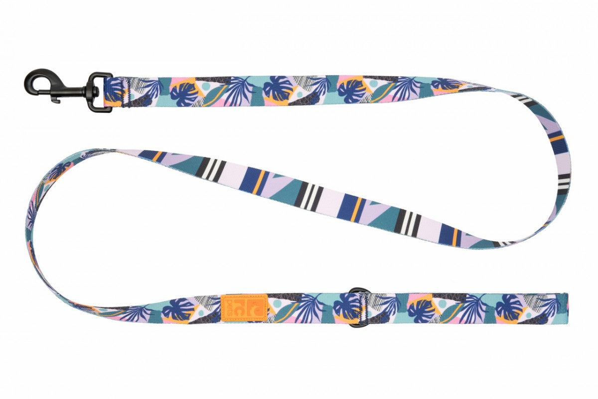 LocalID_70704 RC Pet - Eco Leash - MYSTIC MONSTERA - 1in x 5ft