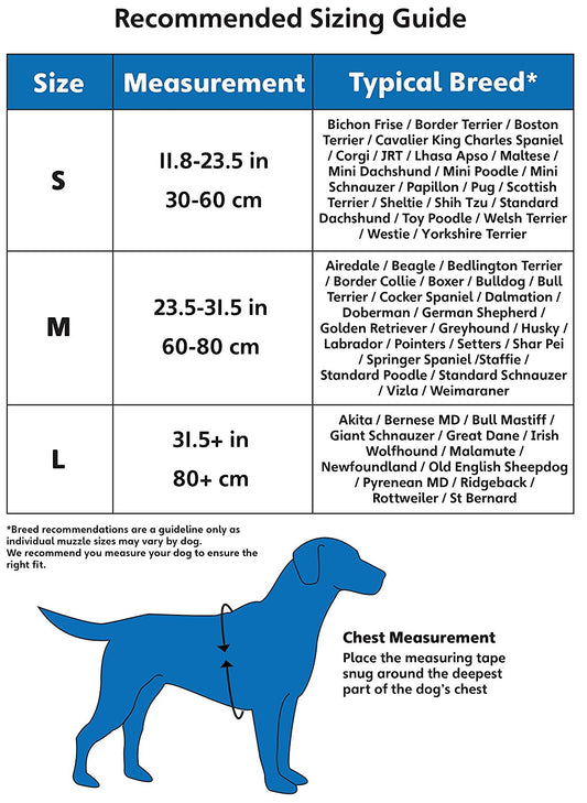 LocalID_15721 A Company of Animals - Halti Harness - Black/Red - Sizes