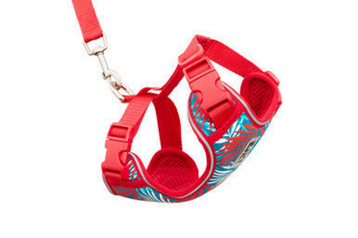 LocalID_67926 RC Pets - Adventure Kitty Harness - MALDIVES - MEDIUM - 33-46CM (13-18in)