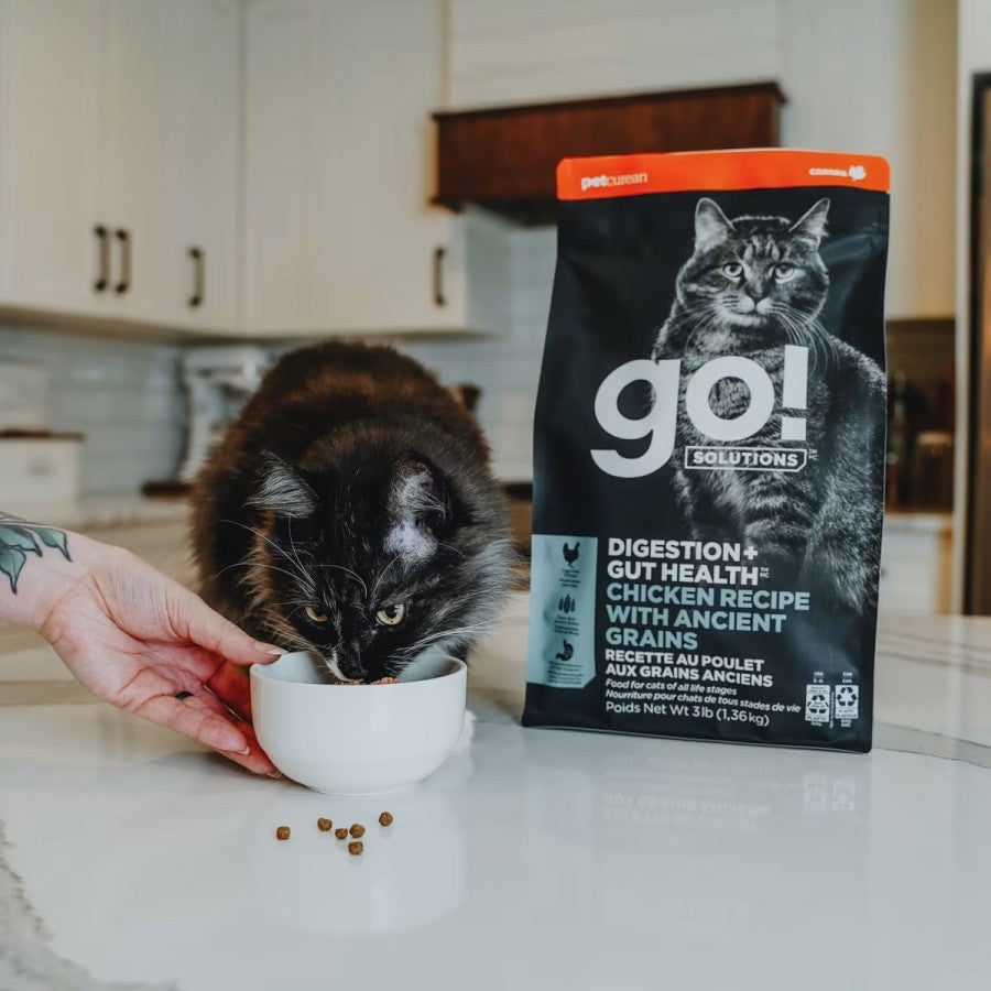 LocalID_67349 Petcurean - GO! Gut Health CHICKEN & ANCIENT GRAINS Dry Cat Food - 2.72KG (6lb)