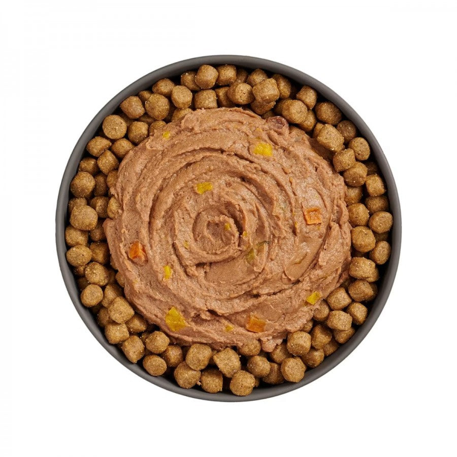 LocalID_68577 Petcurean - GO! Digestive TUNA and SALMON Pate Wet Cat Food - 71GM (2.5oz)