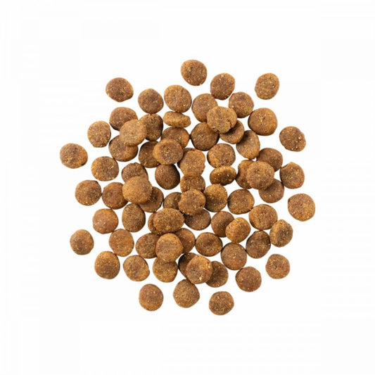 LocalID_67771 Petcurean - GO! Sensitivities GF LID DUCK Dry Dog Food - 9.98KG (22lb)