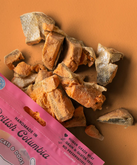 LocalID_69484 Wild Vibes - SALMON and Bone Broth Dog and Cat Treat - 75GM