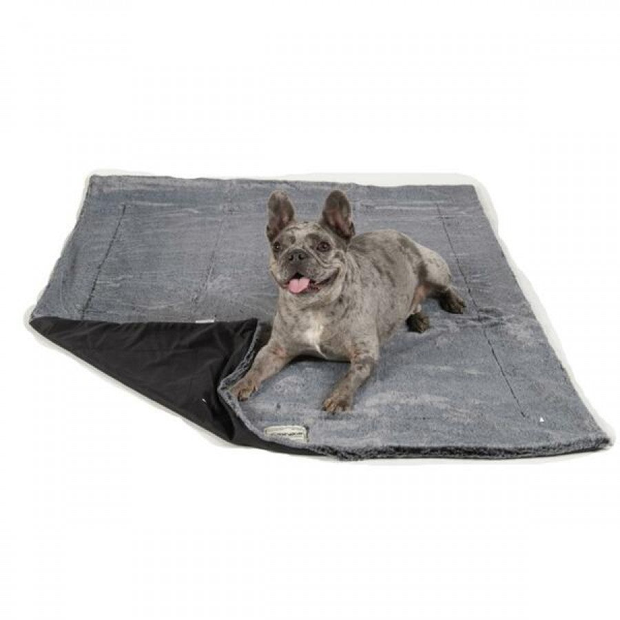 LocalID_71869 Dog Gone Smart - Itchy Witchy Blanket - BLACK - MEDIUM
