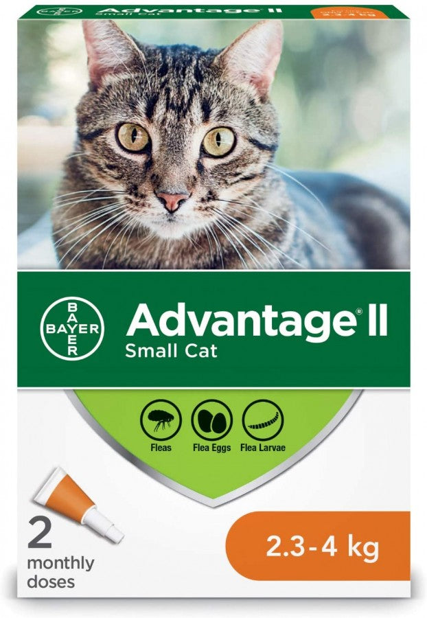 LocalID_49196 Bayer - Advantage® II Small Cat Once-A-Month Topical Flea Treatment - 2.3 to 4 kg - 2 Doses