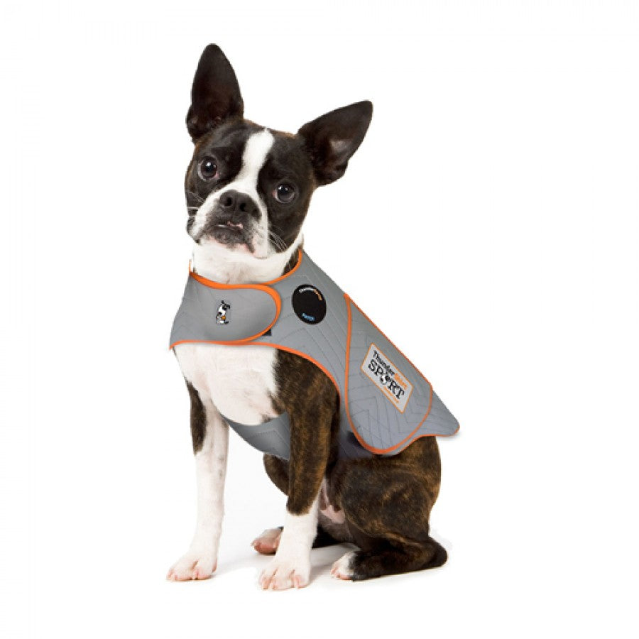 LocalID_35260 Thunderworks-Thundershirt-Sport-Platinum-Anxiety-Solution-for-Dogs-XSmall
