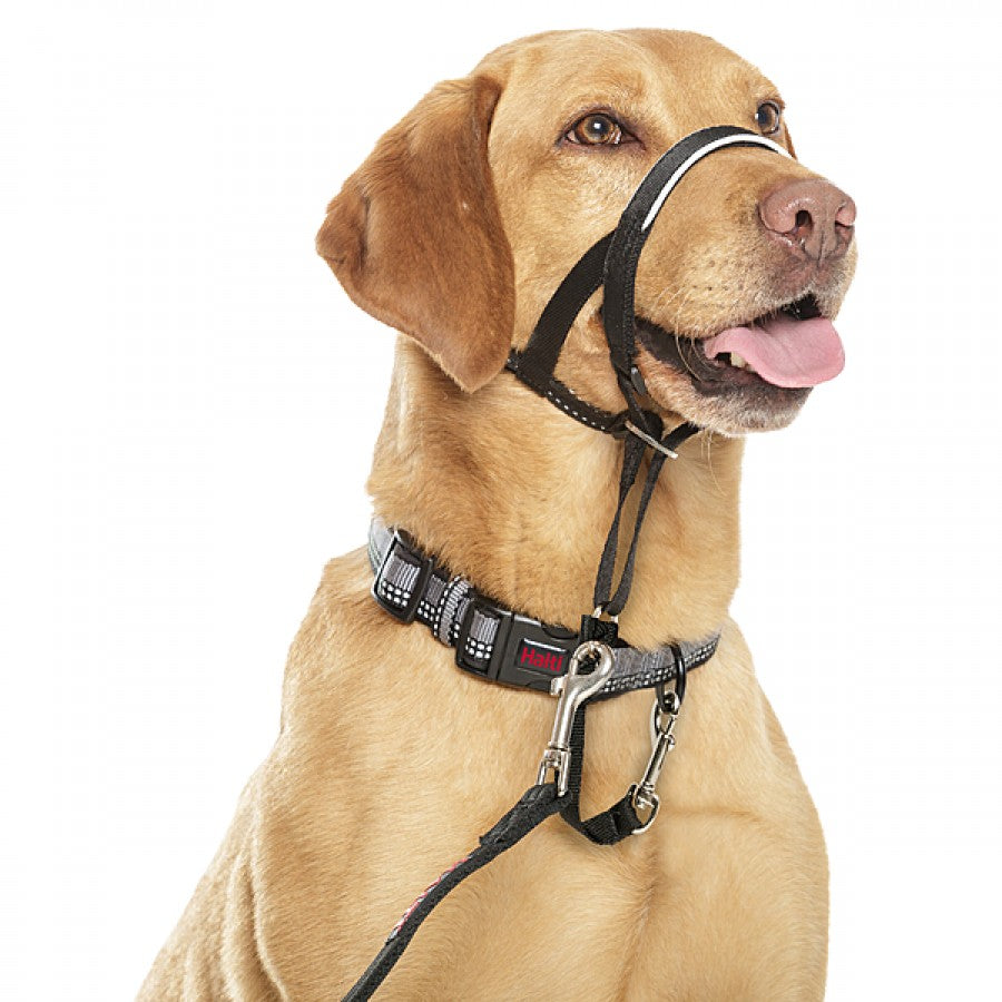 LocalID_66529 Company of Animals - Halti Nylon Head Collar - BLACK - Size 3