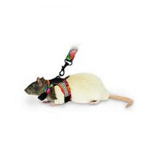 *DNR* Kaytee - Comfort Harness with Stretch Lead - SMALL