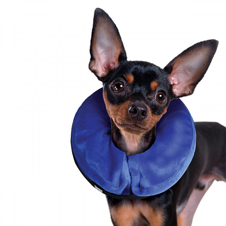 LocalID_70861 KONG - Cloud Inflatable Protective Collar - XSMALL - 15-20CM (6-8in)