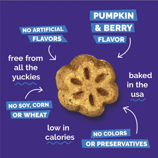 LocalID_71532 Fruitables - Skinny Minis PUMPKIN BERRY Chewy Dog Treats - 141GM (5oz)