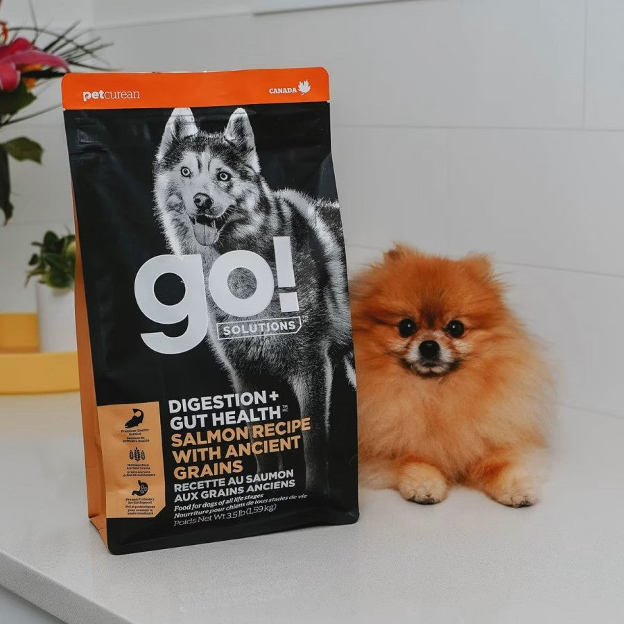 LocalID_67767 Petcurean - Go! Gut Health SALMON & ANCIENT GRAINS Dry Dog Food - 5.44KG (12lb)