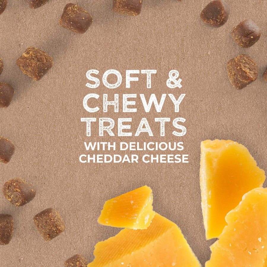 LocalID_67980 Cloud Star - Chewy Tricky Trainer CHEDDAR Dog Treat - 142GM (5oz)