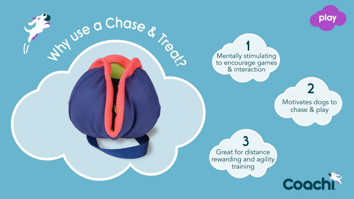 LocalID_70335 Company Of Animals - Coachi - Play Chase & Treat - 14CM (5.5in)