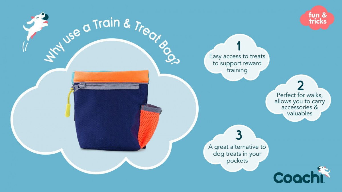 LocalID_70374 Company of Animals - Tricks Train & Treat Bag - Navy & Light Blue - 18CM (7in) Tall
