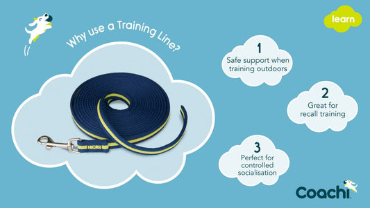 LocalID_70319 Company of Animals - Coachi - Learn Training Line - NAVY & LIME - 5M (16.4ft) long
