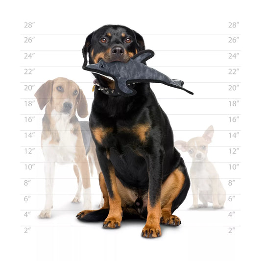 LocalID_67895 Tuffy - Ocean Creatures - Dolphin Dog Toy - 38CM (15in) L Size