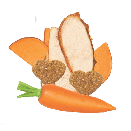 LocalID_68209 Darford - GF TURKEY MINIS Dog Treat - 340GM (12oz)