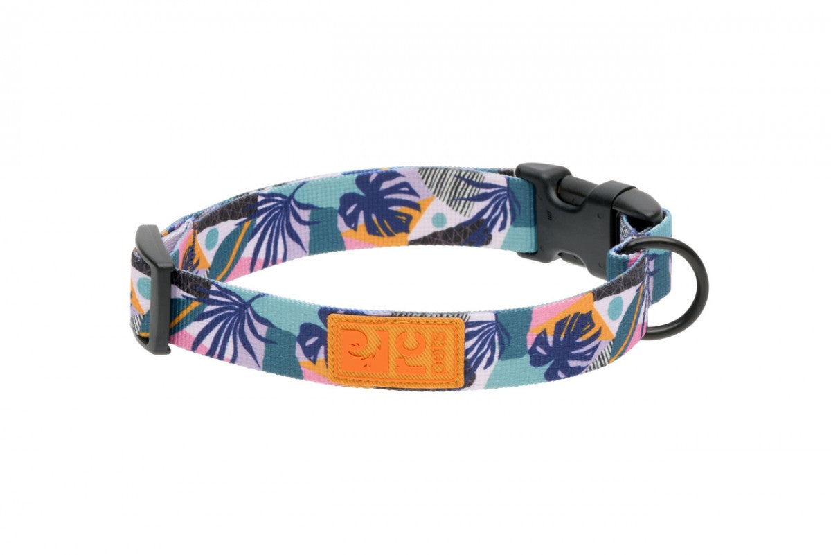 LocalID_70692 RC Pets - Eco Clip Collar - MYSTIC MONSTERA - MEDIUM - 1 x 12-20in
