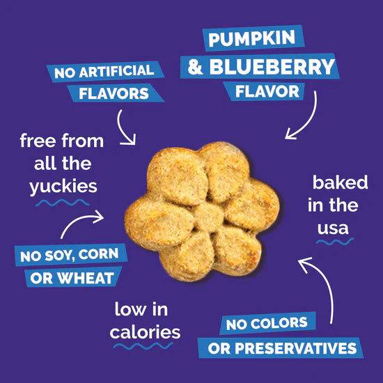 LocalID_71445 Fruitables - PUMPKIN & BLUEBERRY Crunchy Dog Treats - 340GM (12oz)