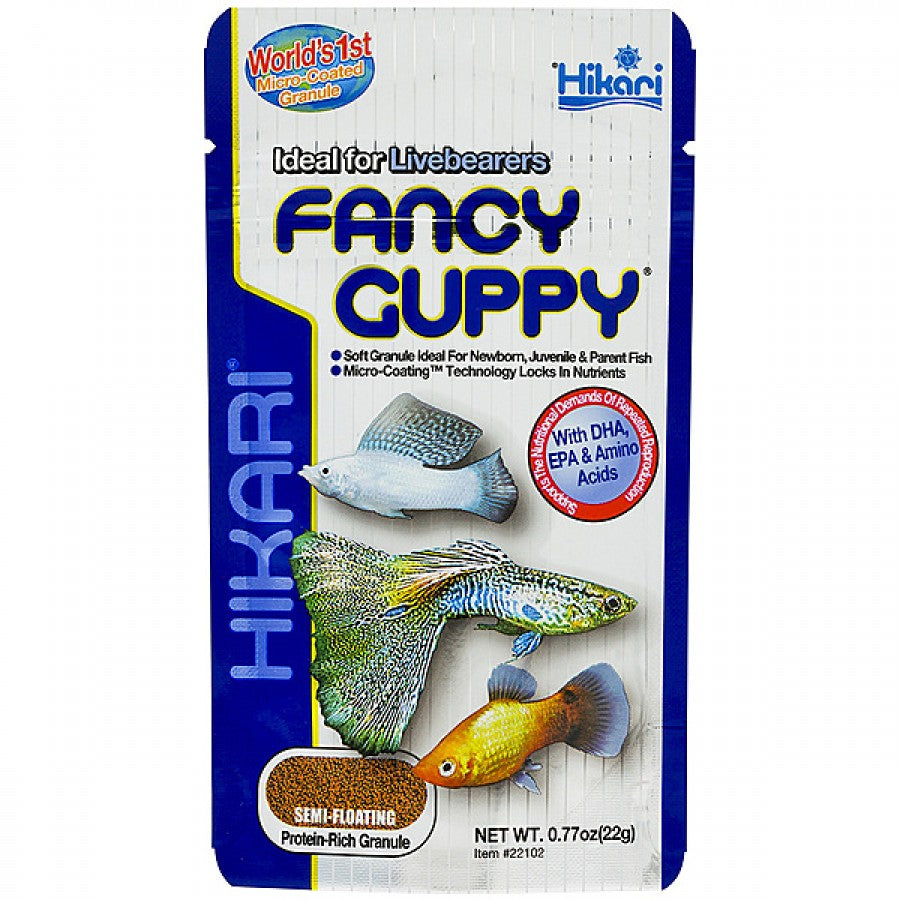 LocalID_63786 Hikari - Semi Floating Fancy Guppy - 22GM