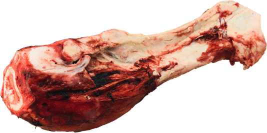 Frozen - K9 Choice - BEEF DINO BONE Dog Chew