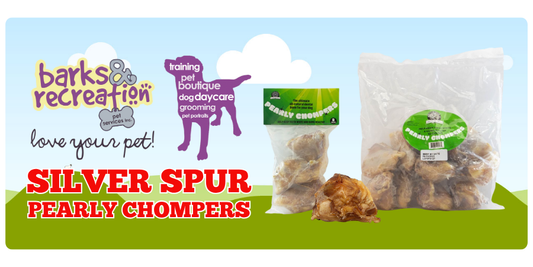 Silver Spur Pearly Chompers dental dog chew package