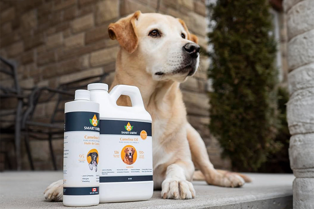 Smart Earth Camelina Oil bottle for dogs and cats