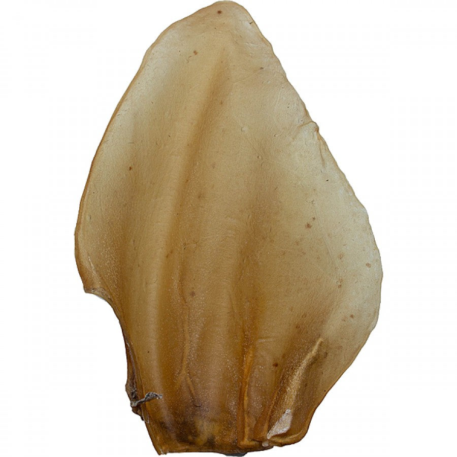 LocalID_68975 Silver Spur - Asado - Cow Ears - BULK