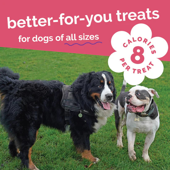 LocalID_71453 Fruitables - PUMPKIN and APPLE Crunchy Dog Treats - 198GM (7oz)