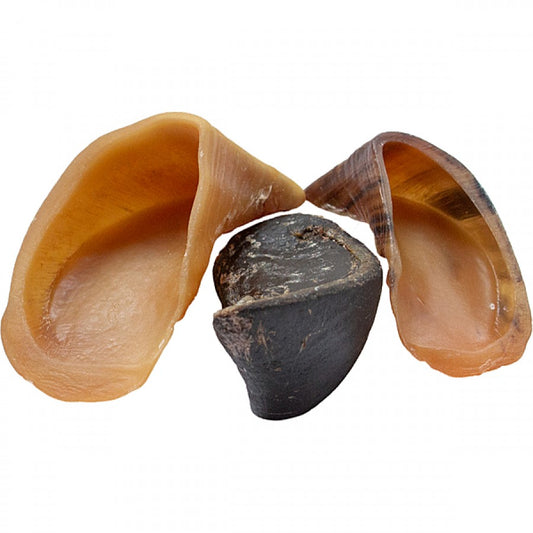 LocalID_64106 Silver Spur - ASADO Cow Hooves - BULK - 24PK (Sold Individually)
