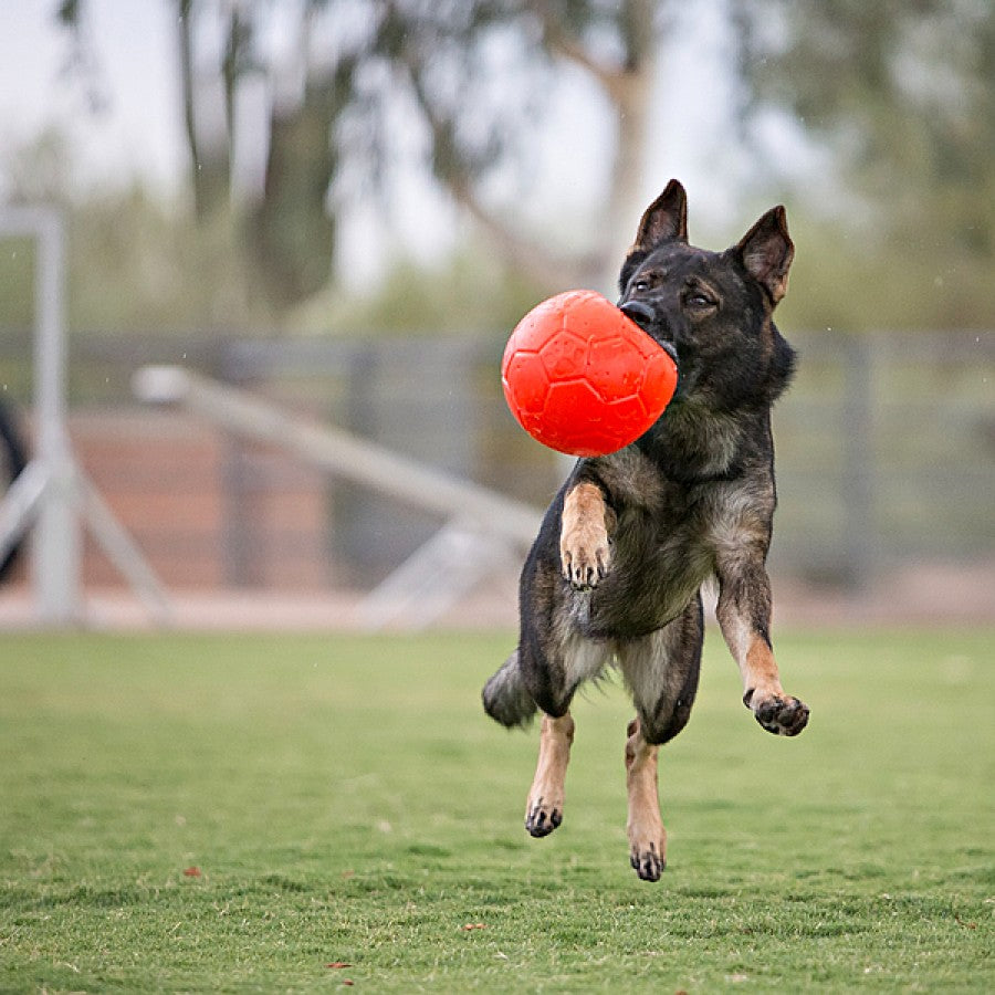 Jolly Pets - Soccer Ball Dog Toy - ORANGE - 15CM (6in)