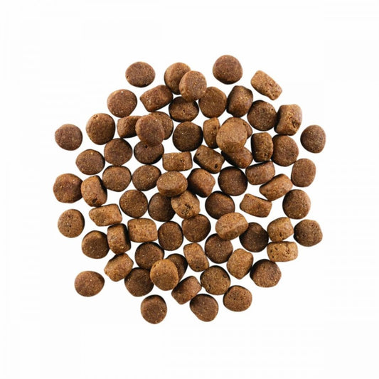 LocalID_67752 Petcurean - GO! Carnivore GF CHICKEN TURKEY DUCK SENIOR Dry Dog Food - 5.4KG (12lb)