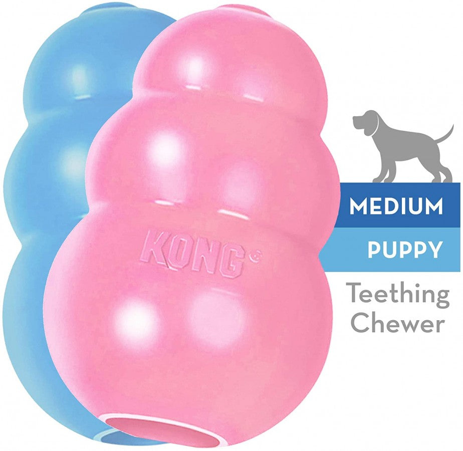 KONG - Puppy Treat Dispensing Chew Toy - MEDIUM - 9CM (3.5in)