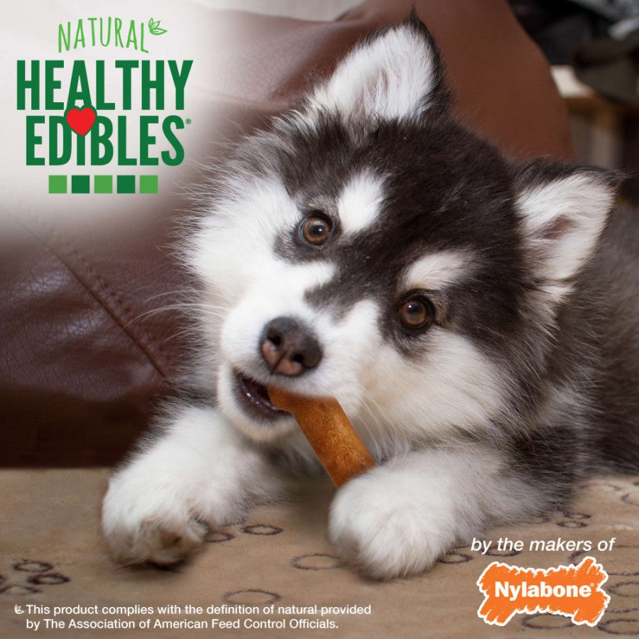 Nylabone - Healthy Edibles TURKEY and SWEET POTATO Dog Chew - SMALL - 141GM (4.9oz) - 3PK