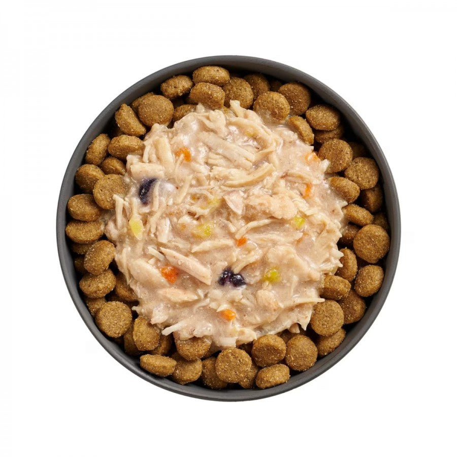 LocalID_67406 Petcurean - GO! Immune Shredded CHICKEN and SALMON in BROTH Wet Dog Food - 79GM (2.8oz)
